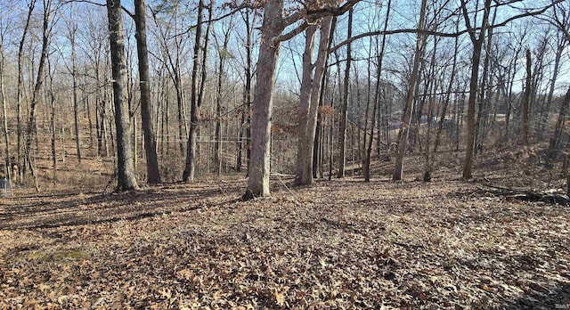 view of landscape featuring a view of trees