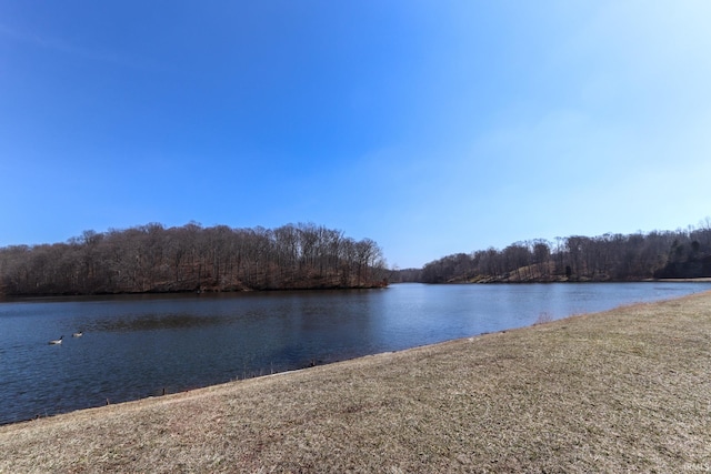 water view with a view of trees