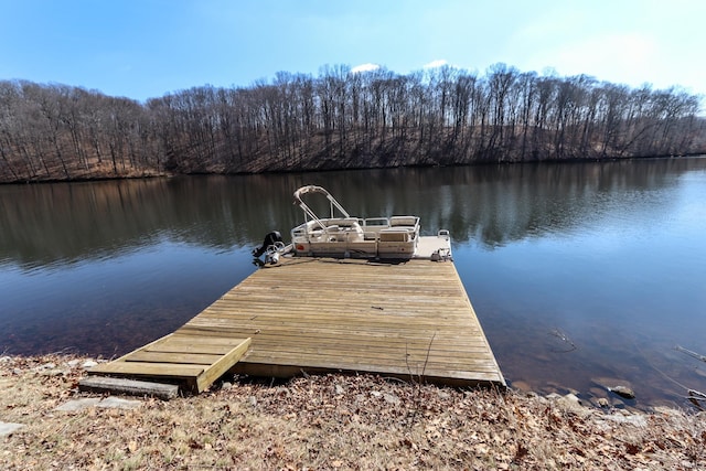 dock area featuring a water view and a forest view