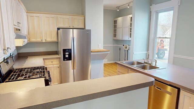 kitchen featuring under cabinet range hood, stainless steel appliances, a sink, light countertops, and track lighting