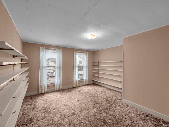 spacious closet with carpet flooring