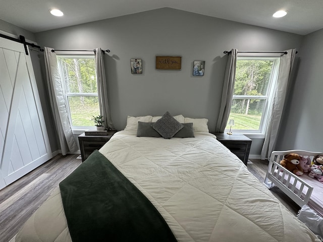 bedroom featuring a barn door, multiple windows, and wood finished floors