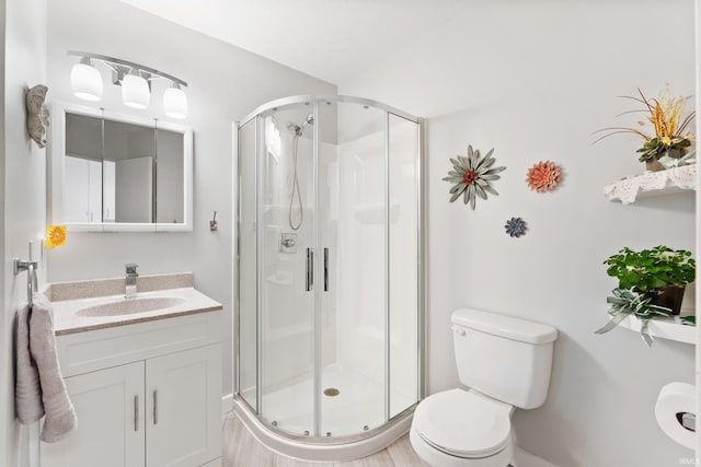 bathroom with a shower stall, vanity, and toilet