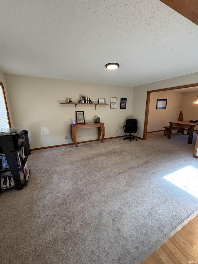 misc room featuring baseboards, carpet, and a textured ceiling