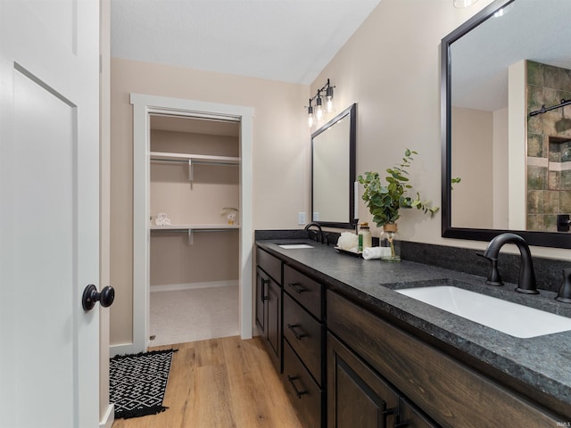 bathroom with a sink, a spacious closet, wood finished floors, and double vanity