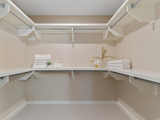 walk in closet featuring built in study area and carpet