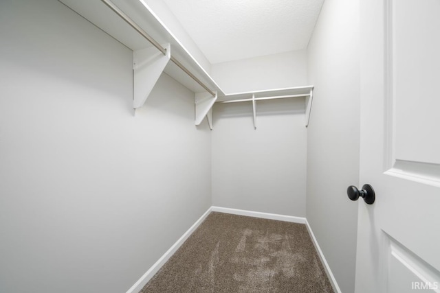 spacious closet with carpet