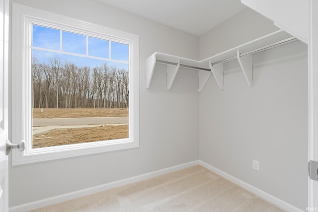 spacious closet with carpet