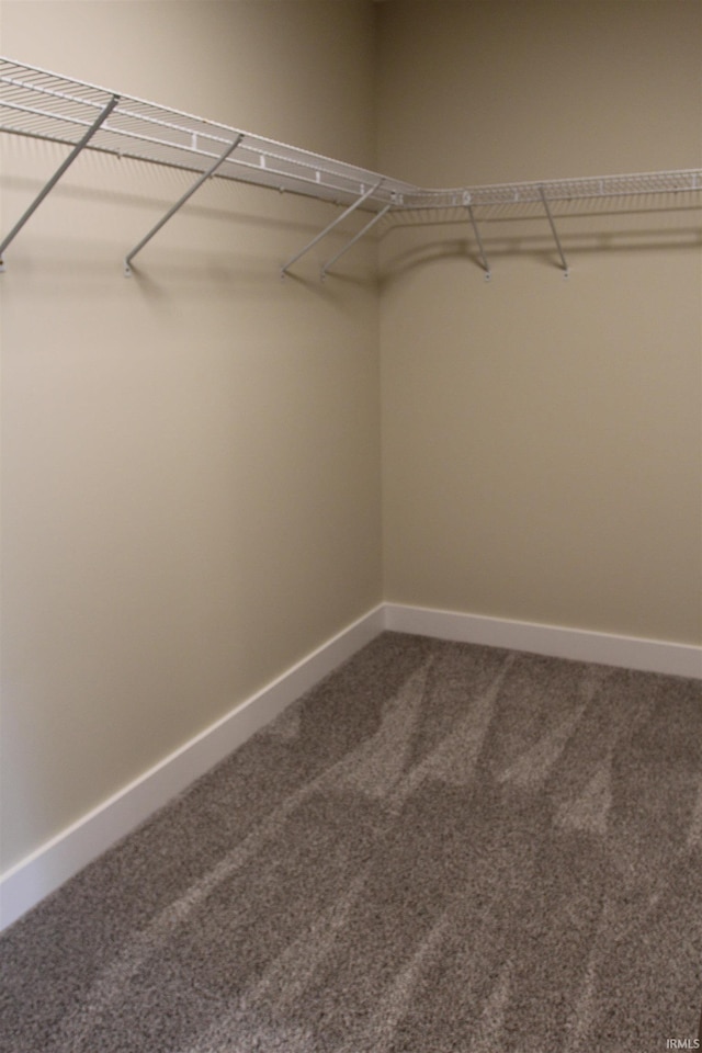 534 E Dogwood Ct, Spencer, IN 47460 - walk in closet with carpet flooring