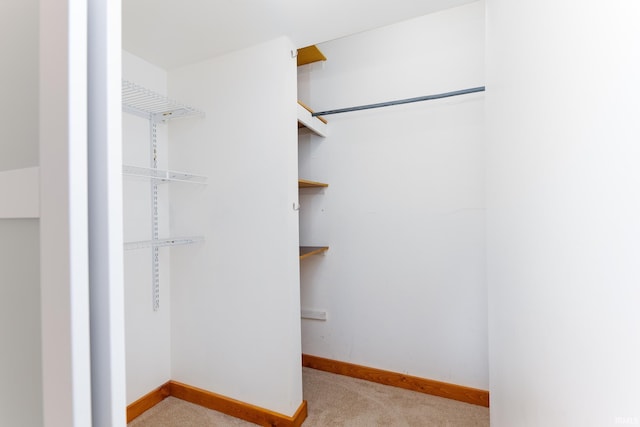 walk in closet with carpet flooring