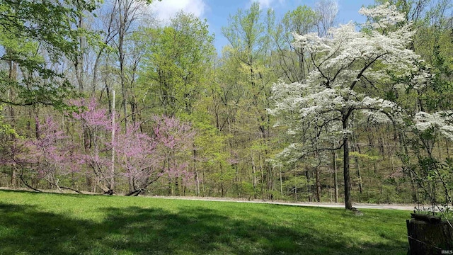 view of yard with a forest view