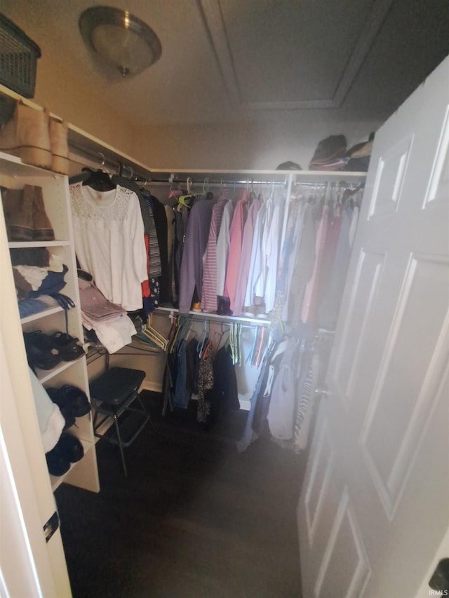 view of spacious closet