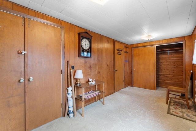 interior space featuring carpet and wood walls