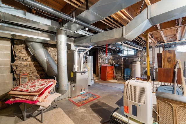 basement with water heater