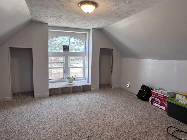 additional living space with lofted ceiling, carpet, baseboards, and a textured ceiling