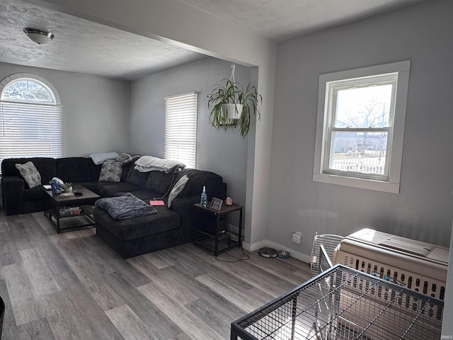 living room featuring wood finished floors, baseboards, and a textured ceiling