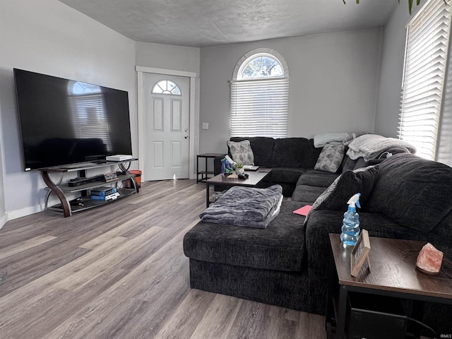 living room with wood finished floors, baseboards, and a textured ceiling