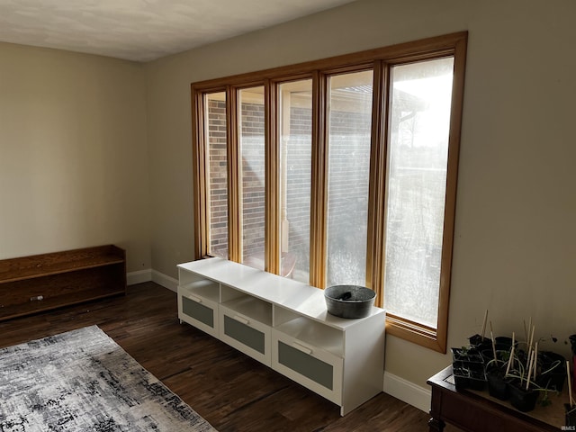 interior space with baseboards and dark wood-style flooring