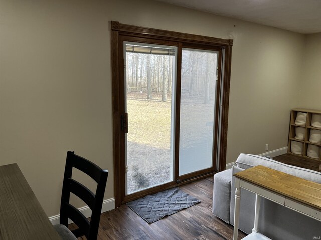 interior space featuring baseboards and dark wood-style floors