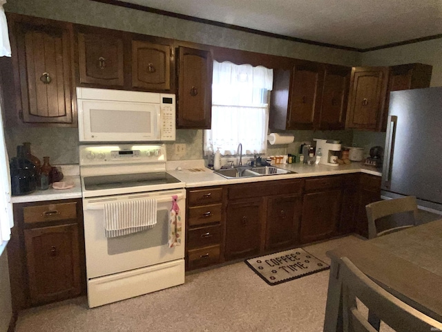 kitchen featuring white appliances, ornamental molding, a sink, light countertops, and dark brown cabinets