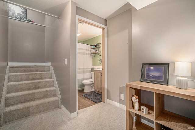 staircase featuring baseboards and carpet floors