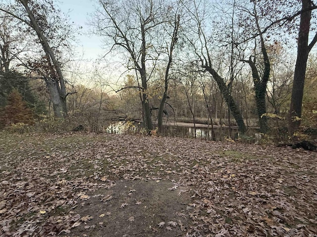 view of nature with a water view and a wooded view