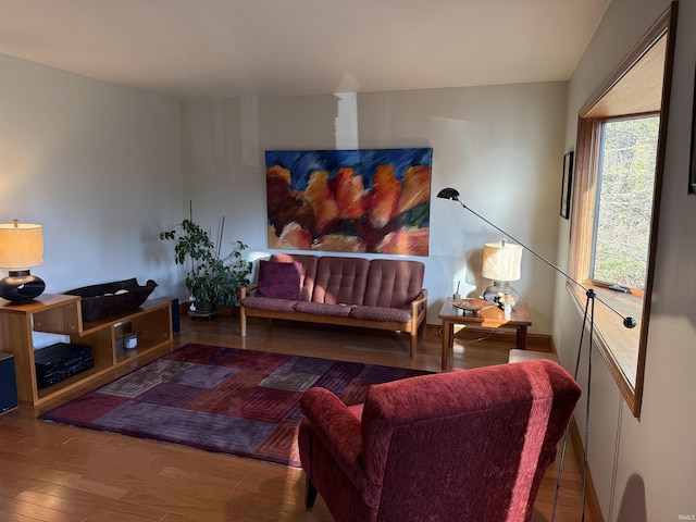 living room with wood-type flooring