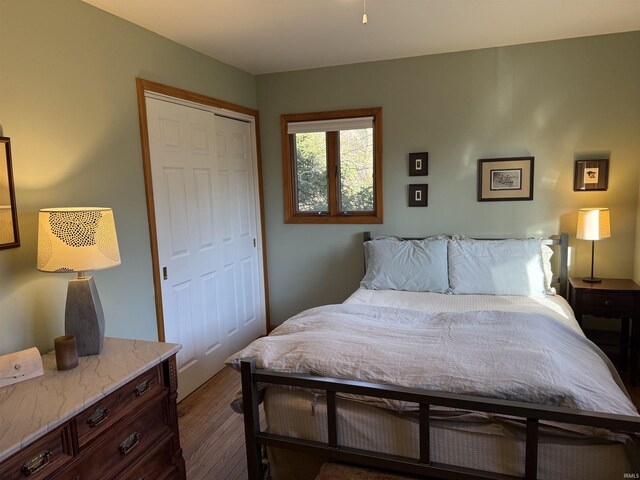 bedroom with wood finished floors and a closet