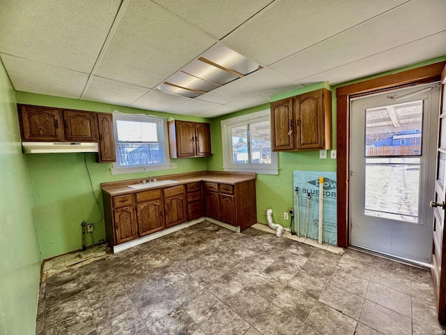 kitchen featuring under cabinet range hood, a paneled ceiling, a wealth of natural light, and a sink