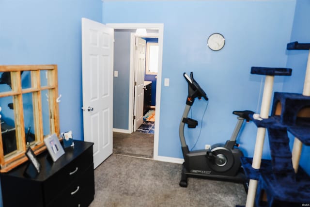 exercise room with baseboards and carpet floors