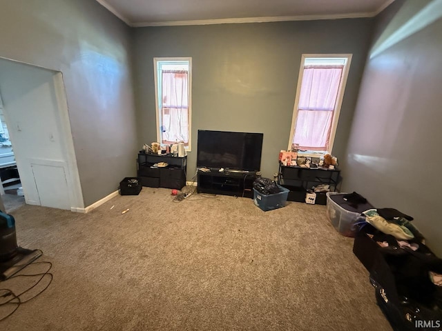 living room with crown molding, carpet, and baseboards