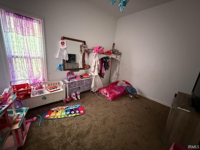 recreation room featuring carpet flooring