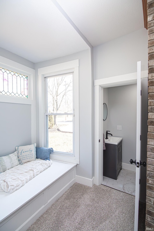 interior space featuring baseboards, a wealth of natural light, and light carpet