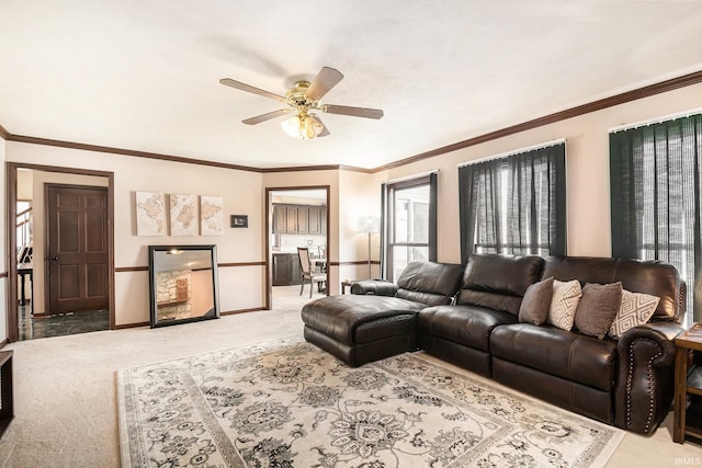 living area featuring ceiling fan, ornamental molding, baseboards, and carpet floors