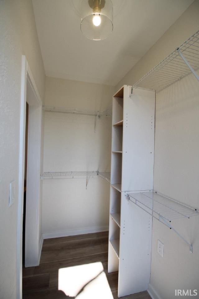 spacious closet featuring wood finished floors