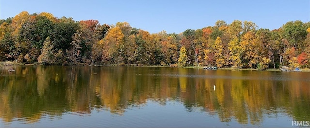 view of water feature with a view of trees