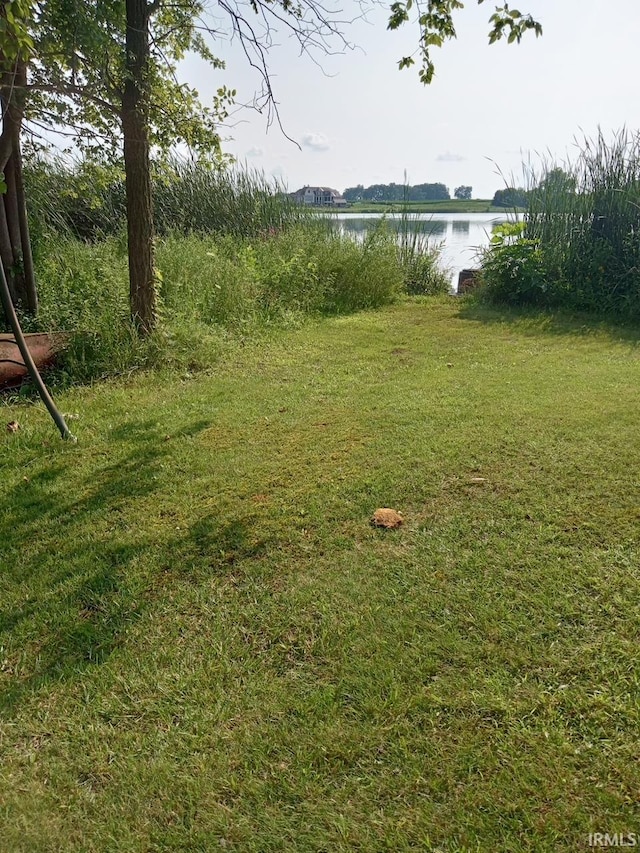 view of yard with a water view