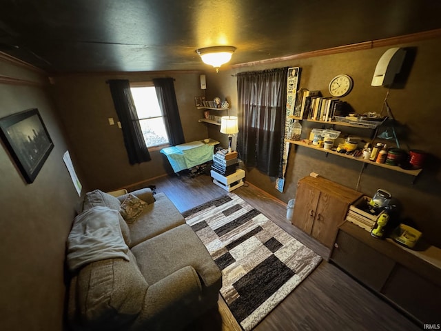 living room featuring wood finished floors