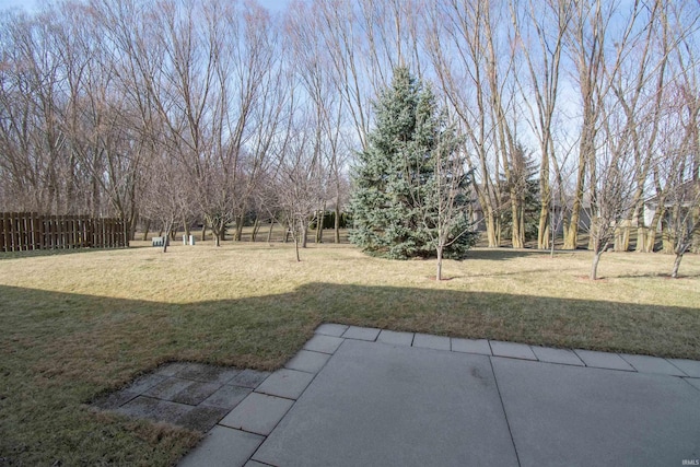 view of yard with a patio and fence