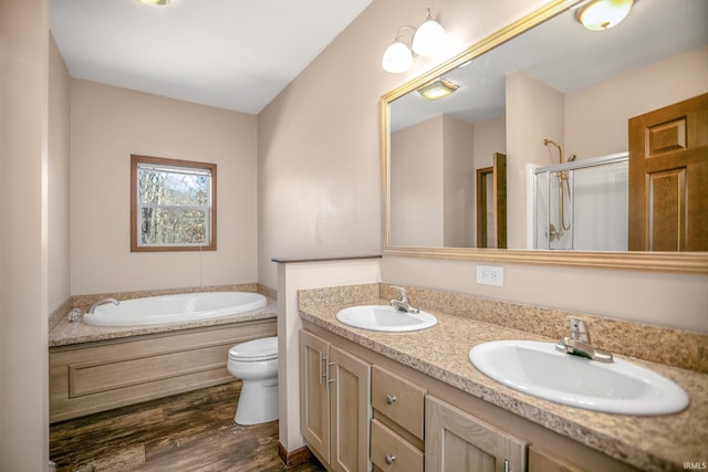 bathroom with double vanity, a shower stall, wood finished floors, and a sink