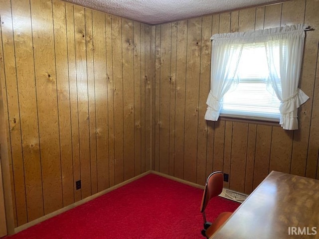 spare room with wooden walls, a textured ceiling, and carpet floors