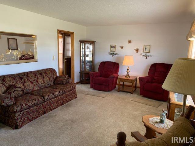 carpeted living area with a textured ceiling