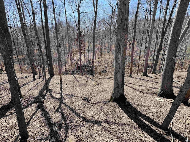 view of local wilderness featuring a wooded view