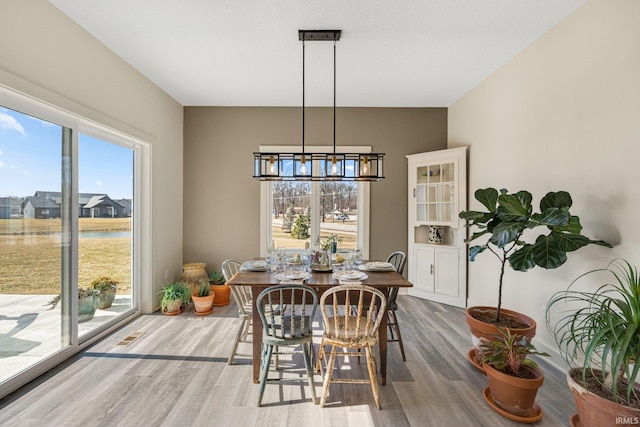 dining area featuring wood finished floors