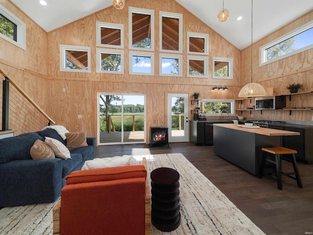 living room featuring dark wood-type flooring, a healthy amount of sunlight, and wood walls