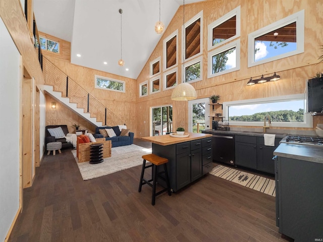 kitchen featuring dark wood-style floors, a sink, dishwasher, a kitchen breakfast bar, and dark cabinets