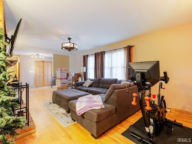 living room featuring light wood-style flooring