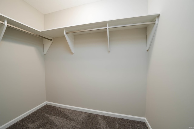 spacious closet featuring dark carpet