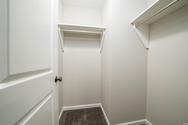 spacious closet with carpet