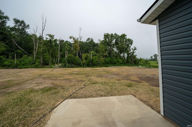 view of yard featuring a patio area